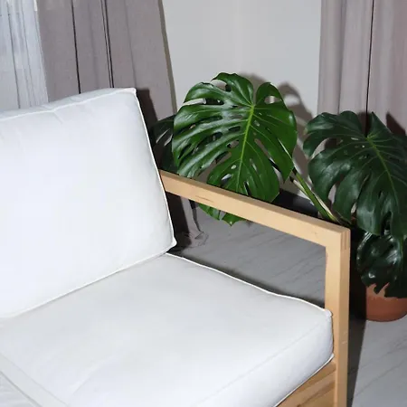 Comfortable Modern