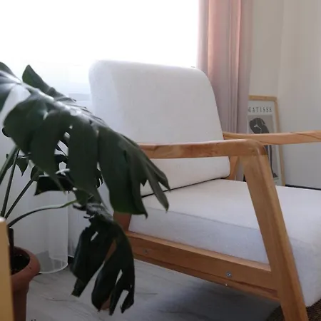 Comfortable Modern *